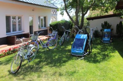 piaski-krynica-rowery